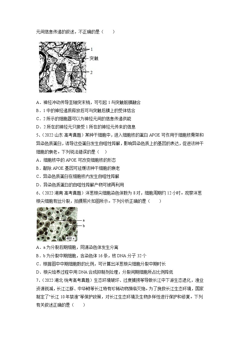 卷05——【备考2023】高考生物真题重组卷（湖南专用）（含解析）02