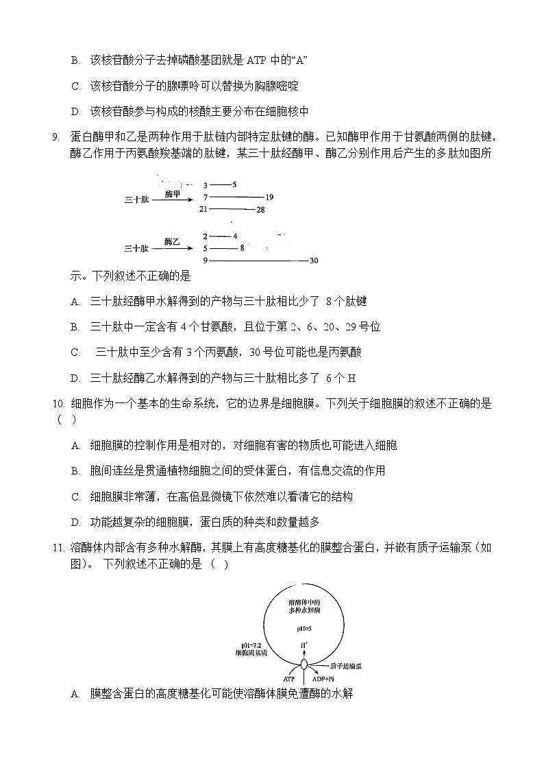 2022-2023学年河南省洛阳市高一上学期期末生物试题含答案03