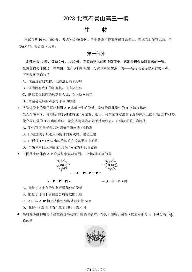 2023年北京石景山区高三一模生物试题及答案01