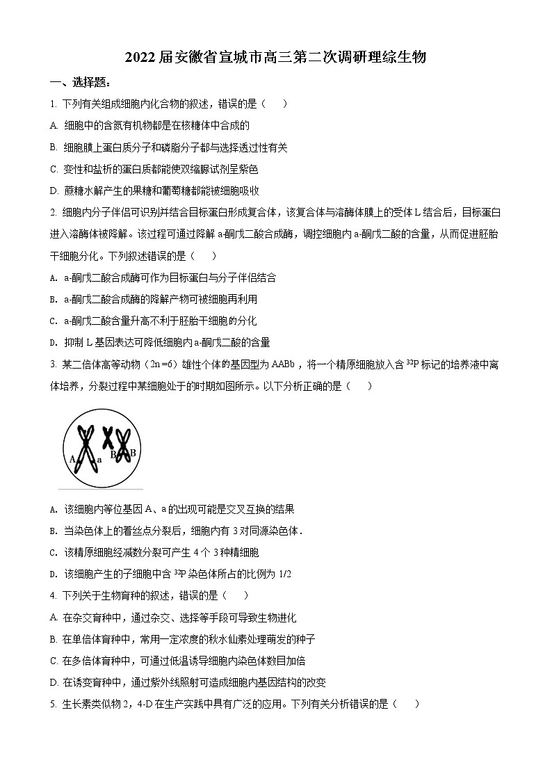 2022宣城高三下学期第二次调研考试理综生物试题含解析01