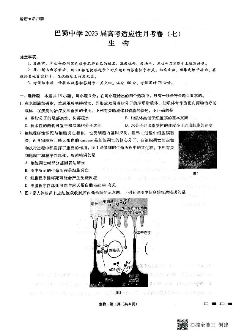 2023重庆市巴蜀中学高三下学期高考适应性月考卷（七）生物PDF版含答案01