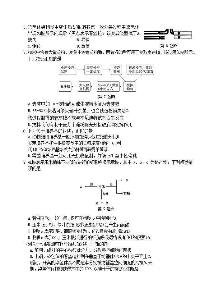 2022宁波高三下学期高考模拟考试（二模）生物含答案02