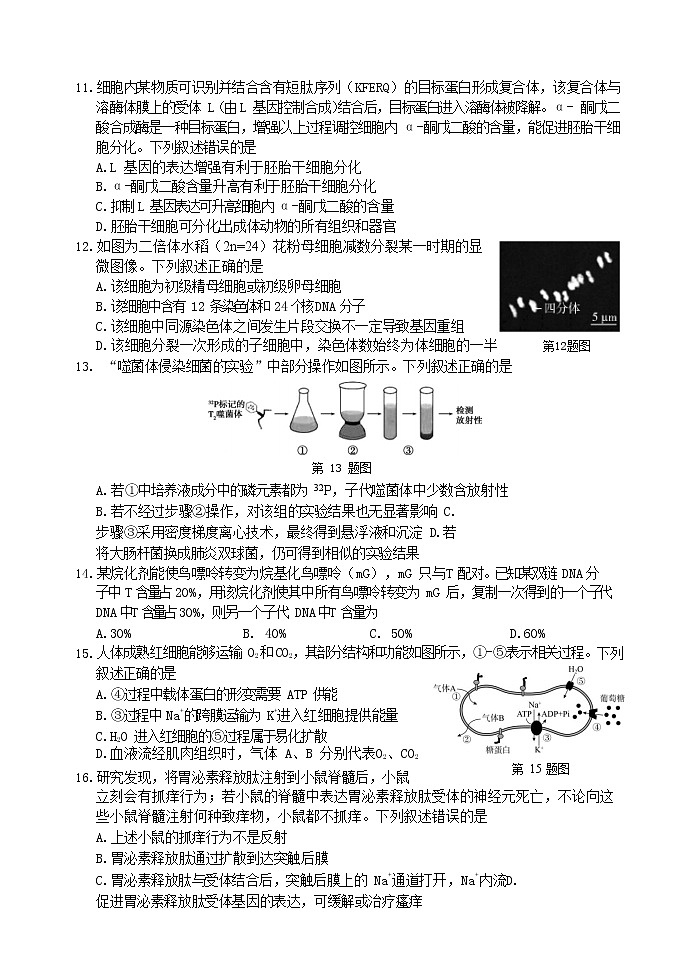 2022宁波高三下学期高考模拟考试（二模）生物含答案03