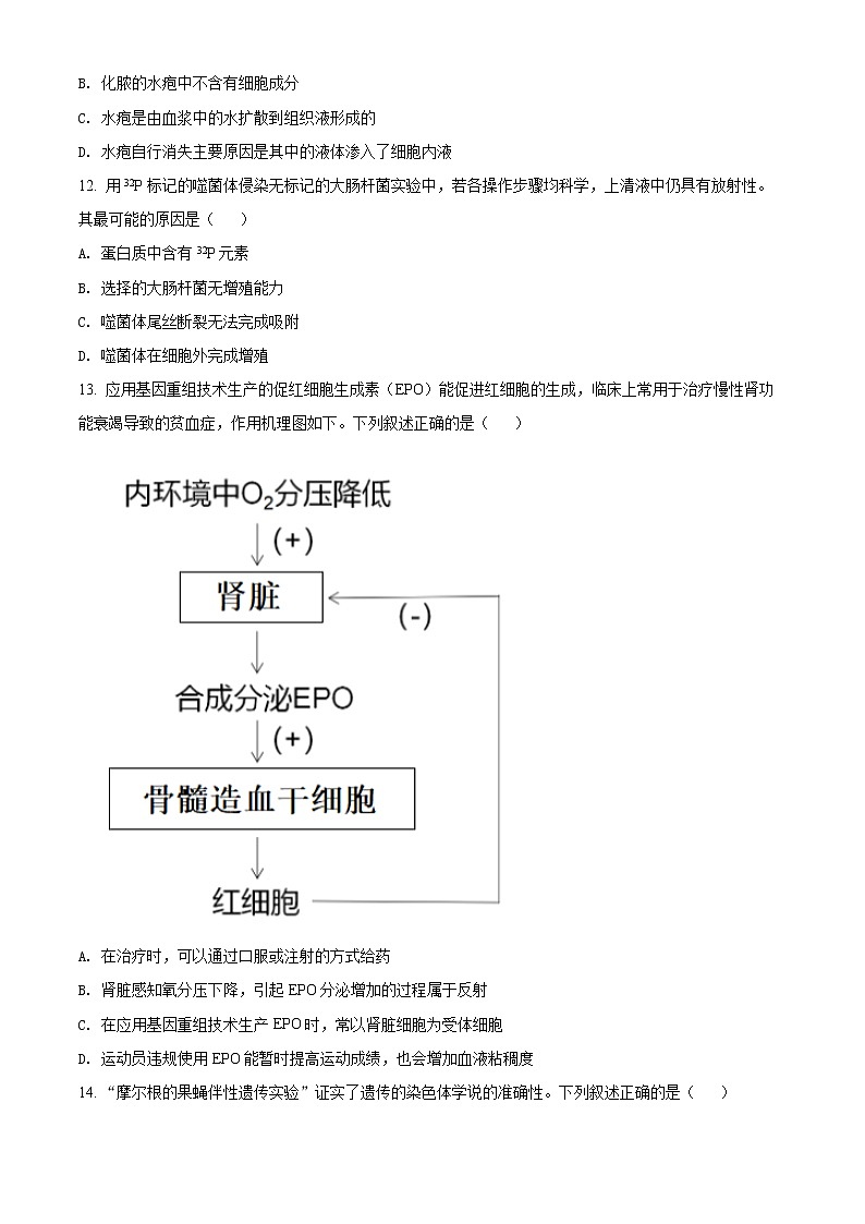 2022金华十校高三下学期4月模拟考试生物试题含解析03