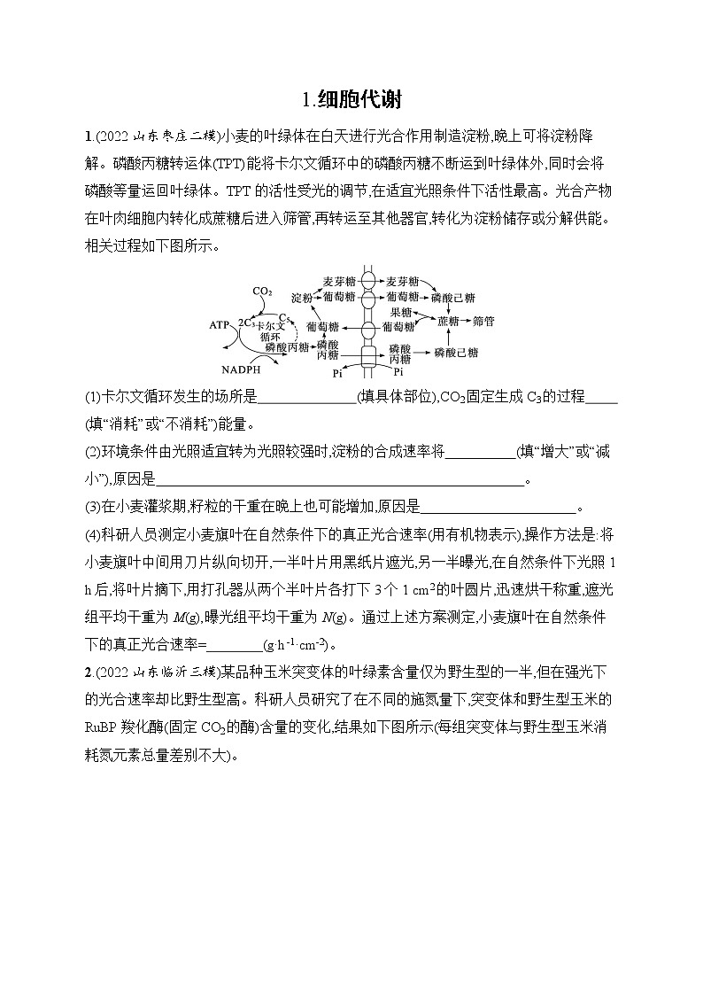 2023届高考二轮总复习试题 生物（适用于老高考新教材） 大题分析与表达练 1.细胞代谢 Word版含解析第1页