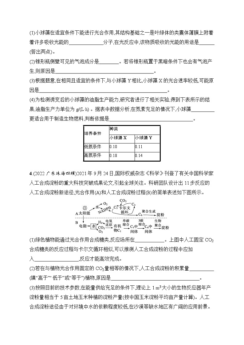 2023届高考二轮总复习试题 生物（适用于老高考新教材） 大题分析与表达练 1.细胞代谢 Word版含解析第3页
