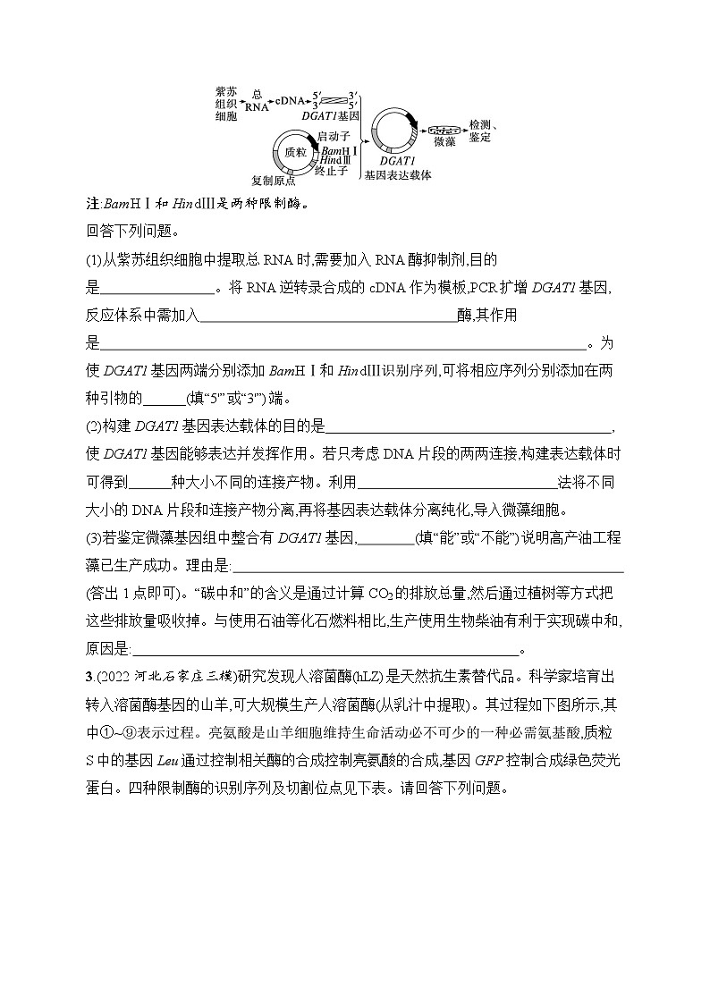 2023届高考二轮总复习试题 生物（适用于老高考新教材） 大题分析与表达练 6.基因工程类大题突破 Word版含解析第2页