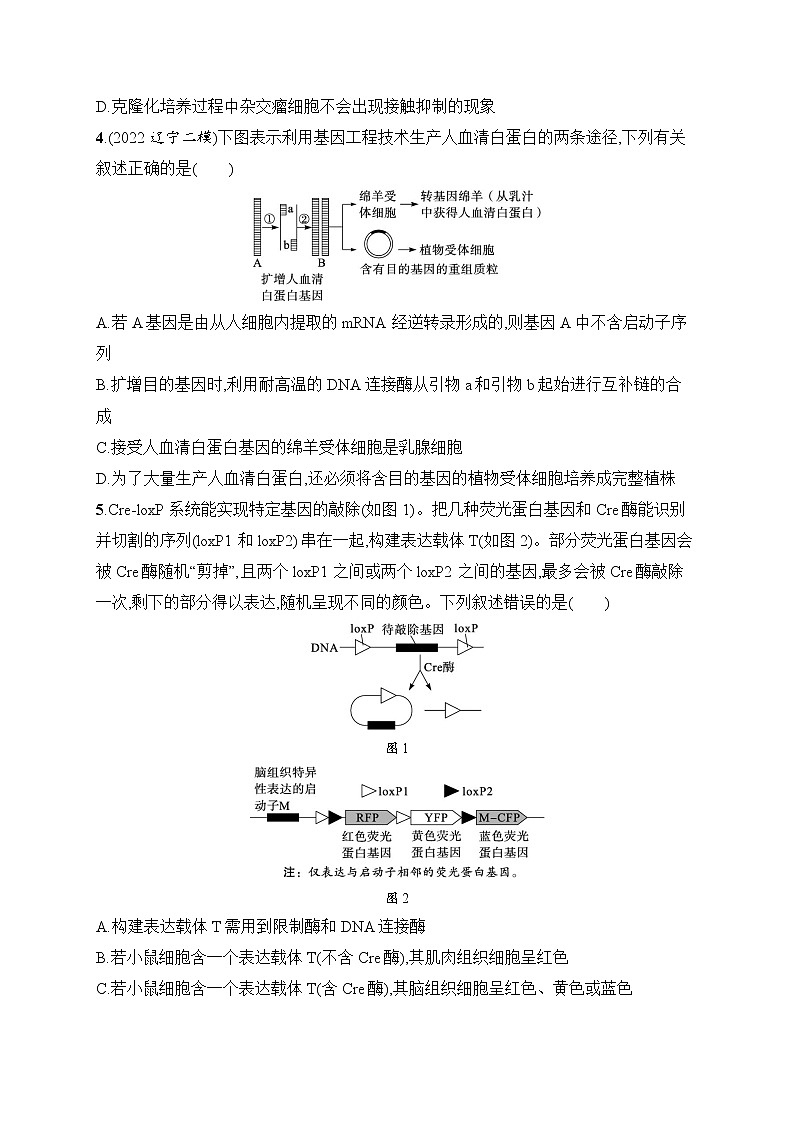 2023届高考二轮总复习试题 生物（适用于老高考新教材） 知识对点小题练 12.生物技术与工程 Word版含解析第2页