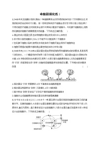 2023届高考二轮总复习试题 生物（适用于老高考新教材） 专题1　细胞的物质、结构基础与物质运输 命题篇强化练1 Word版含解析