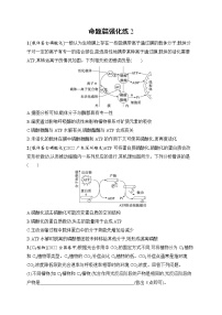 2023届高考二轮总复习试题 生物（适用于老高考新教材） 专题2　细胞代谢 命题篇强化练2 Word版含解析