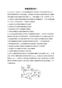 2023届高考二轮总复习试题 生物（适用于老高考新教材） 专题3　细胞的生命历程 命题篇强化练3 Word版含解析