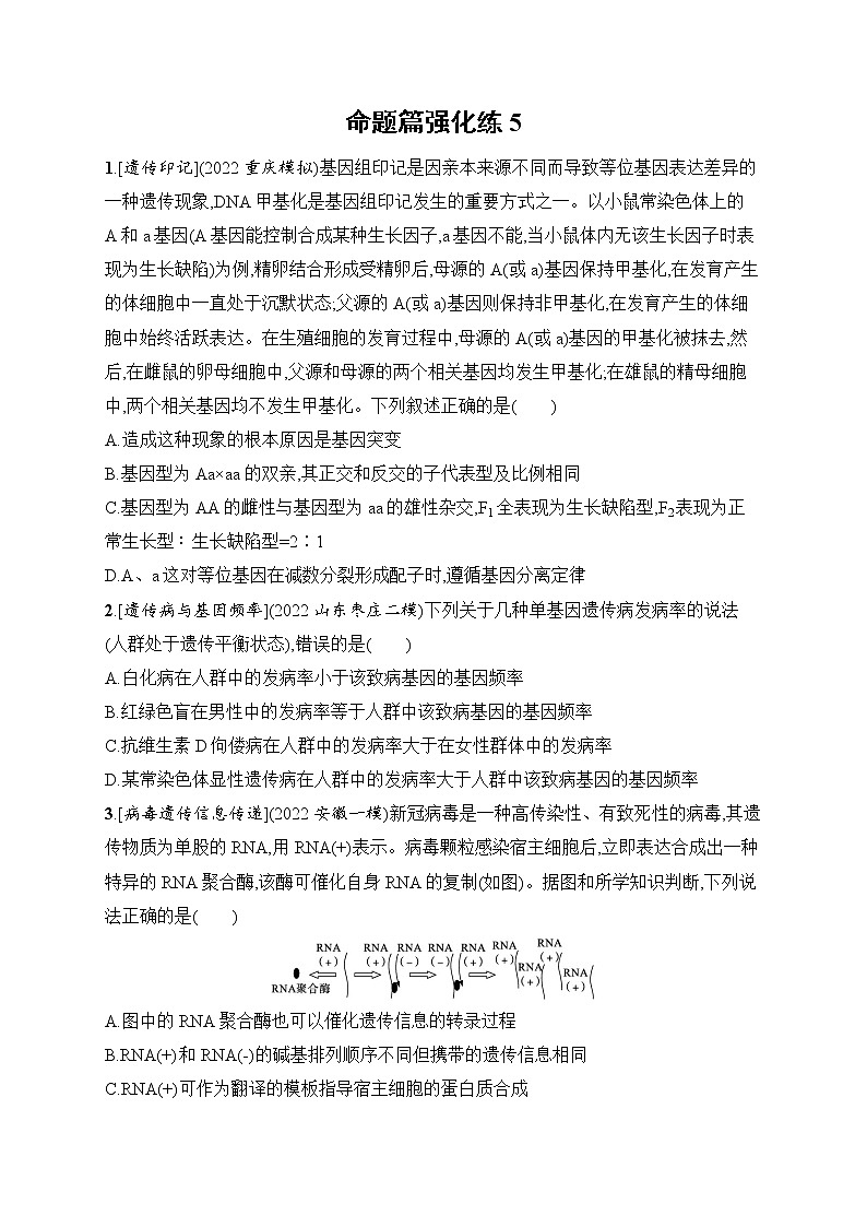 2023届高考二轮总复习试题 生物（适用于老高考新教材） 专题5　遗传的分子基础、变异与进化 命题篇强化练5 Word版含解析01