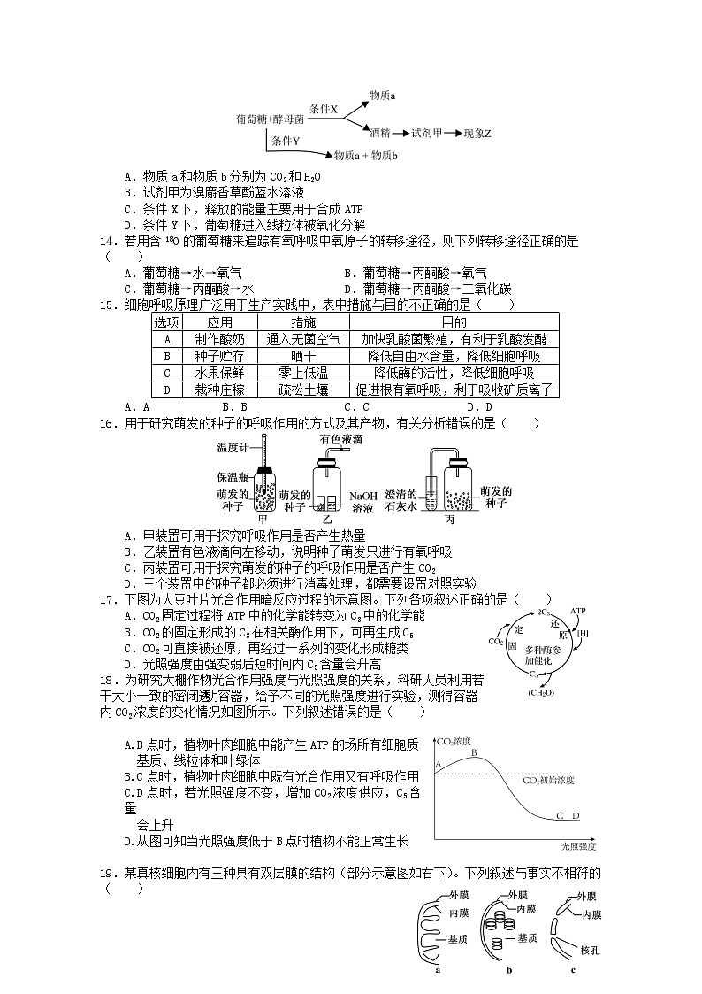 江苏省扬州市2022-2023学年高一生物下学期开学考试试卷（Word版附答案）03