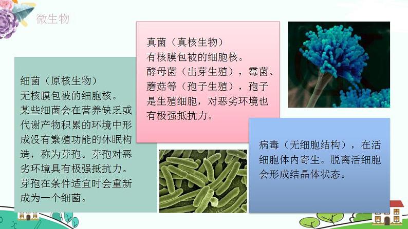 新人教版高中生物选择性必修3 1.2.1 微生物的基本培养技术 课件+教案+同步练习含解析卷05