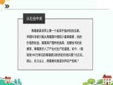新人教版高中生物选择性必修3 1.3发酵工程及其应用 课件+教案+同步练习含解析卷