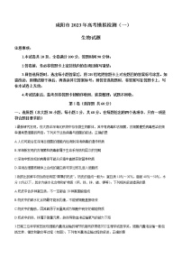 2022-2023学年陕西省咸阳市高三下学期一模考试生物试题含答案