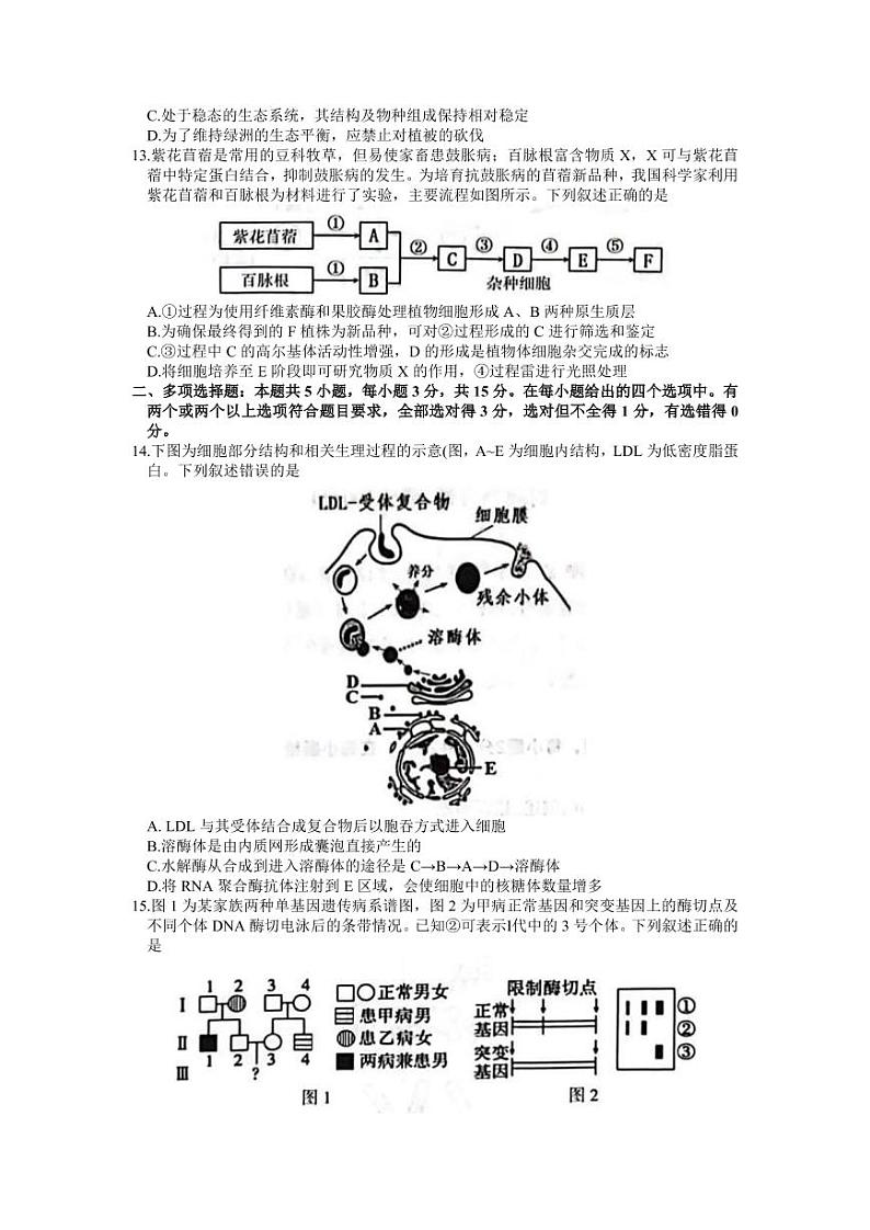 2023届河北省石家庄市高三下学期3月教学质量检测（一）生物PDF版含答案03