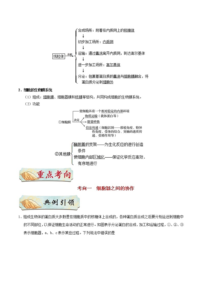 高考生物考点一遍过 考点11 细胞的生物膜系统 试卷02