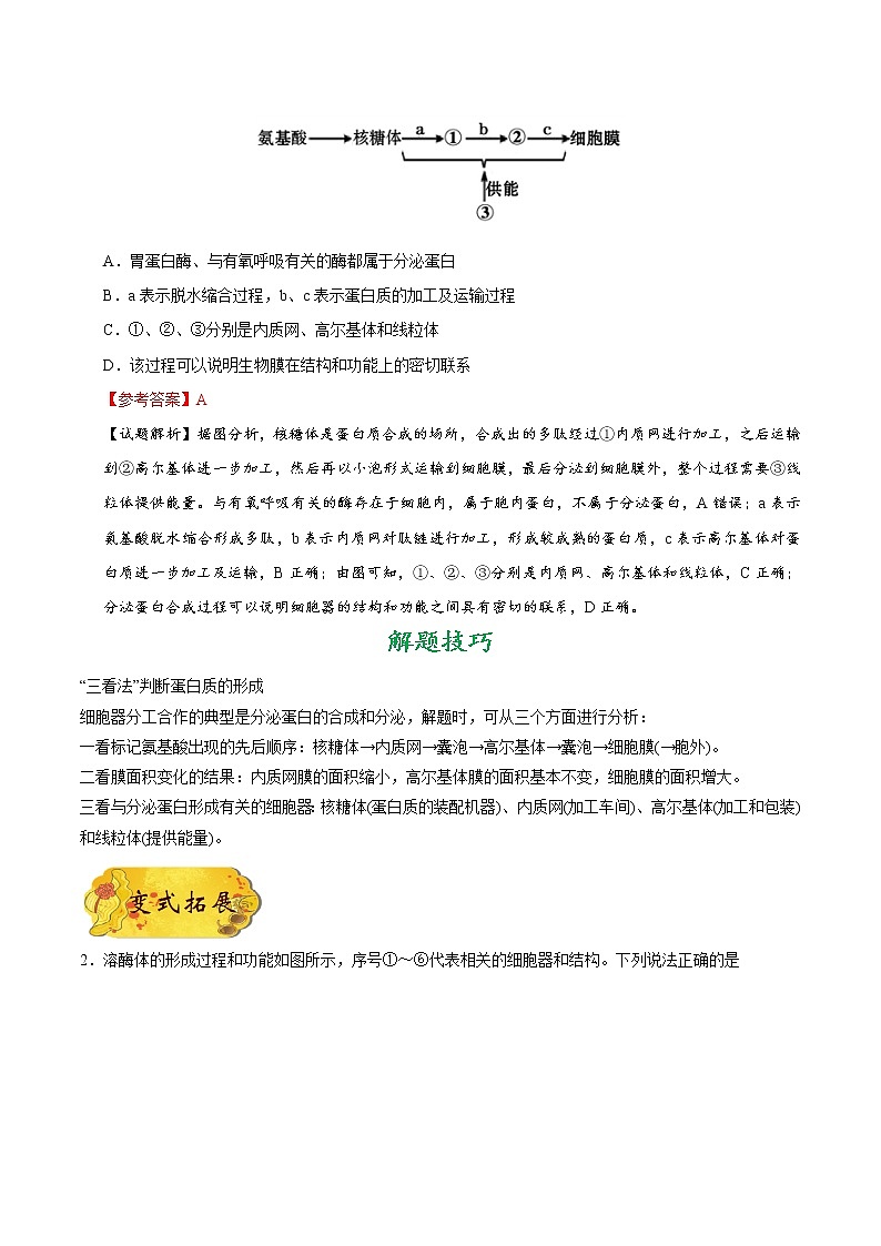 高考生物考点一遍过 考点11 细胞的生物膜系统 试卷03