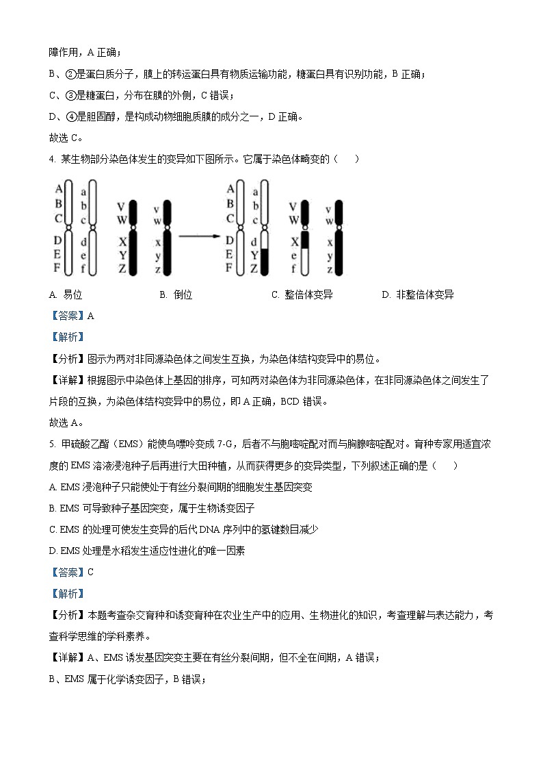 浙江省舟山市舟山中学2021-2022学年高三3月月考生物试题含解析第3页