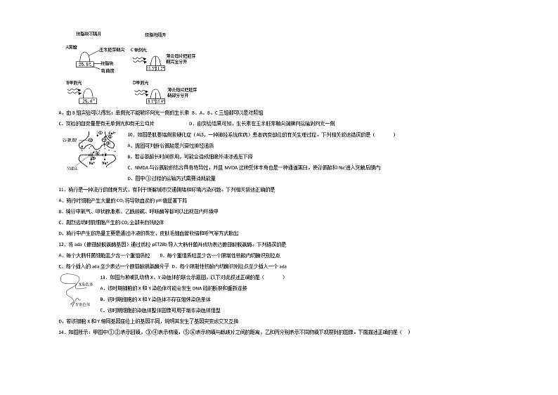 2022舟山舟山中学高三下学期3月质量抽查生物试题含答案第3页