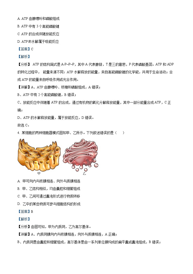 2022届浙江省温州市高三适应性测试（二模）生物试题含解析第2页