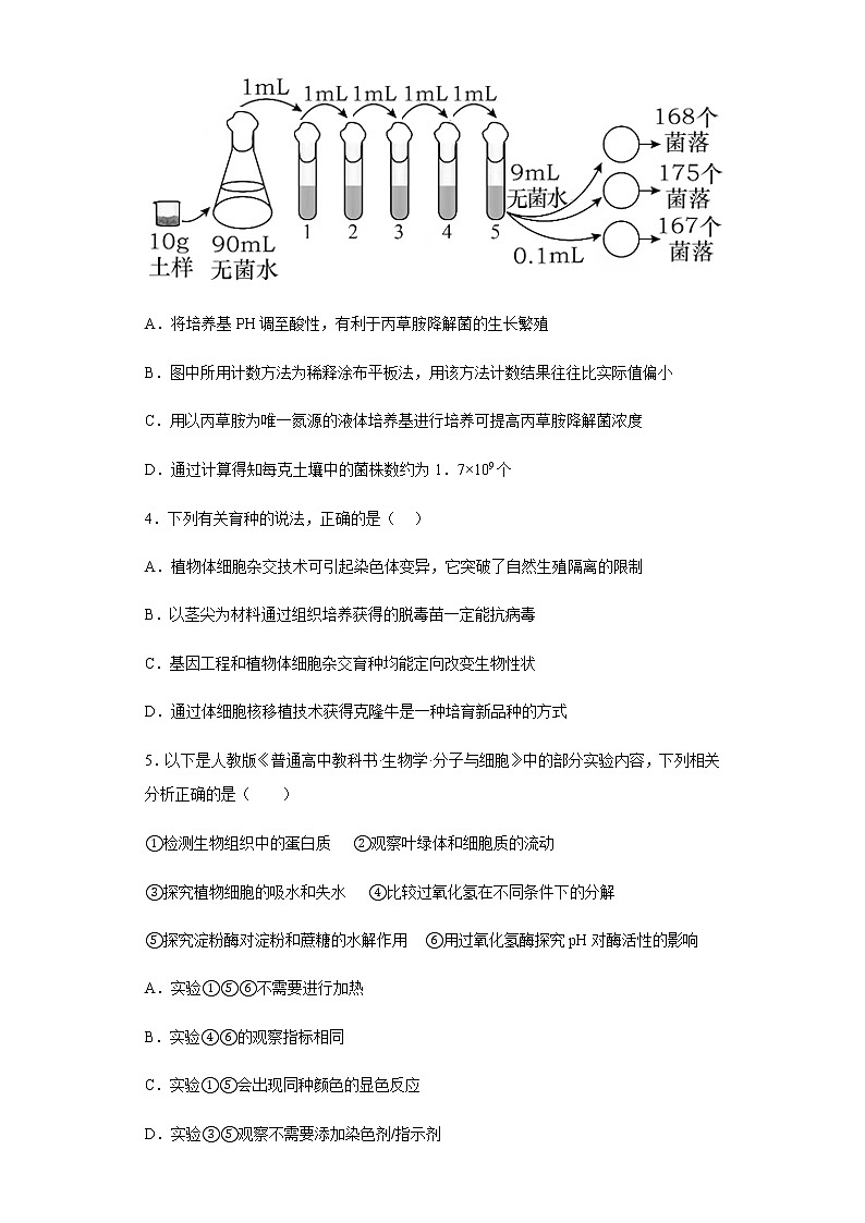 2023乌鲁木齐第四十中学高三下学期3月月考试题生物含答案第2页
