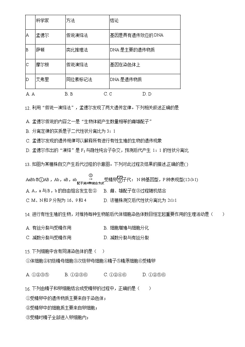 2022-2023学年内蒙古自治区乌兰察布市集宁区第二中学高三上学期10月期中考试生物含解析03