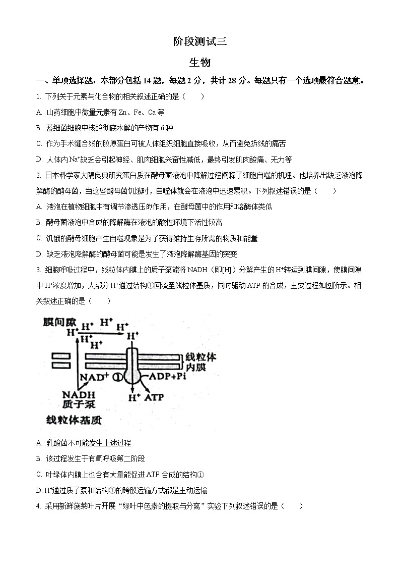 2022-2023学年江苏省南通市海安市实验中学高三上学期9月月考试题生物含解析第1页
