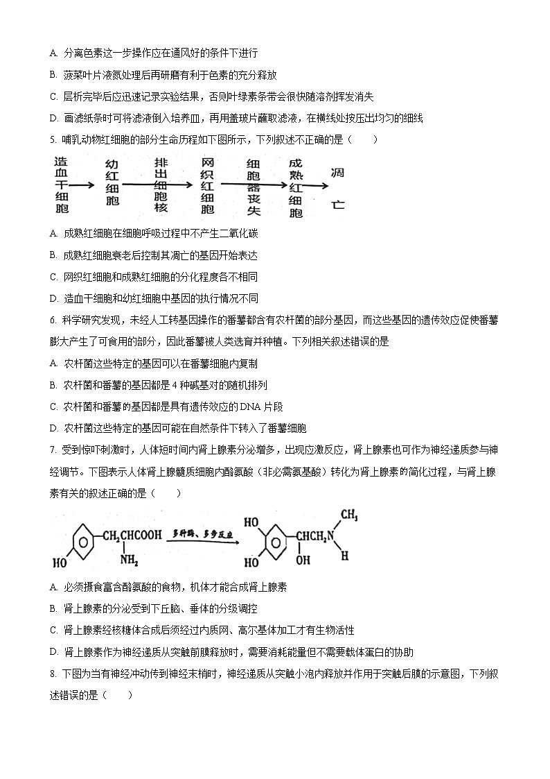 2022-2023学年江苏省南通市海安市实验中学高三上学期9月月考试题生物含解析第2页
