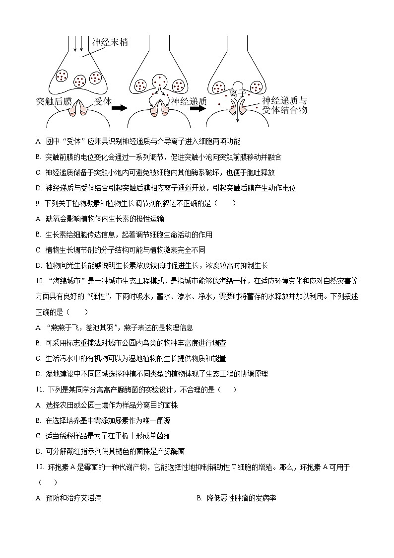 2022-2023学年江苏省南通市海安市实验中学高三上学期9月月考试题生物含解析第3页