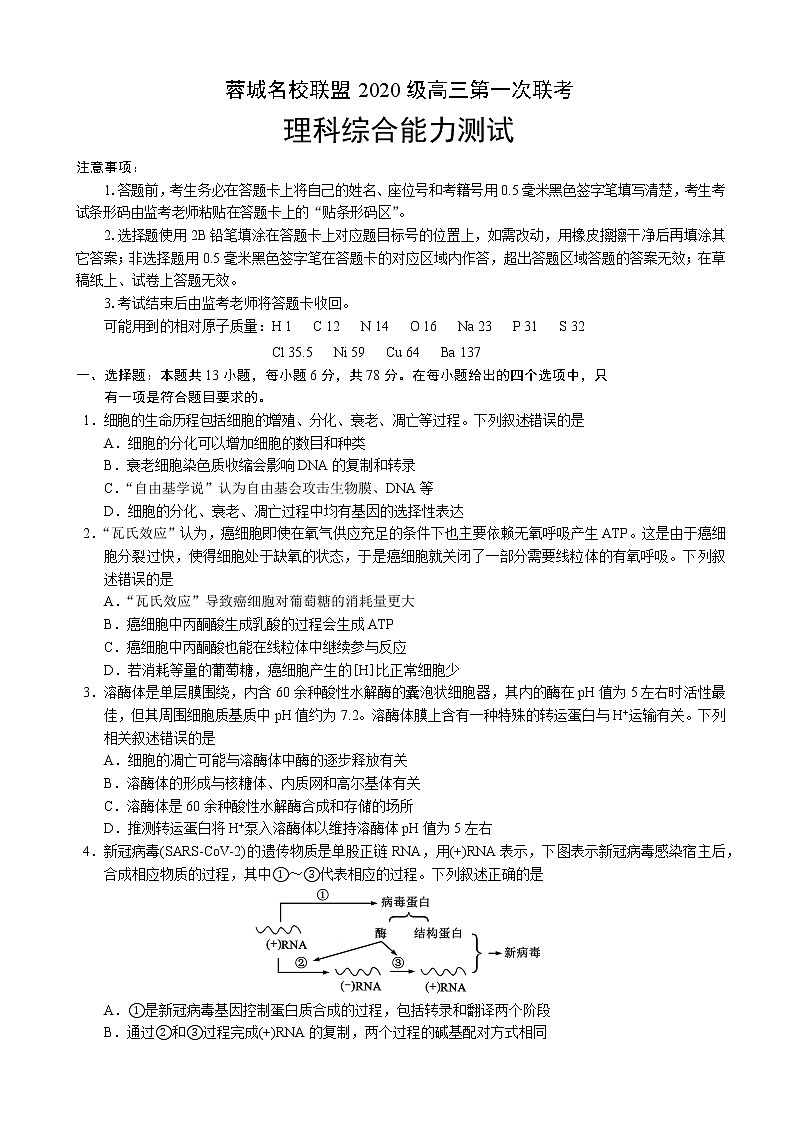 2022-2023学年四川省成都市龙泉中学蓉城名校联盟高三上学期第一次联考（月考）理综生物含解析第1页