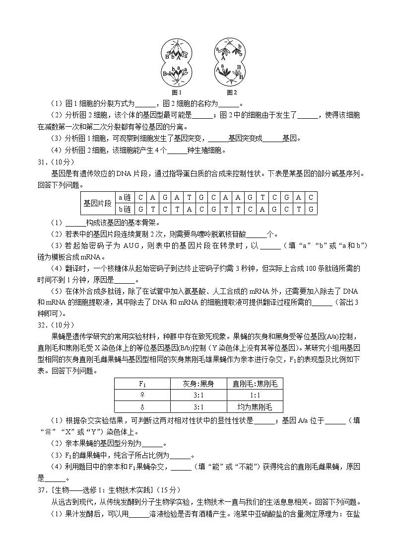 2022-2023学年四川省成都市龙泉中学蓉城名校联盟高三上学期第一次联考（月考）理综生物含解析第3页