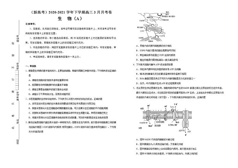 高中生物高考  2020-2021学年下学期高三3月月考卷 生物（A卷）学生版01