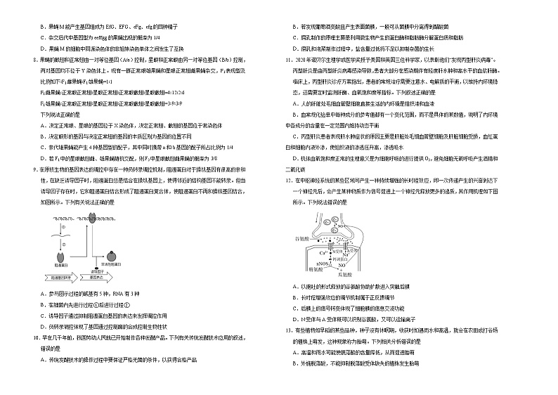 高中生物高考  2021届高考考前冲刺卷 生物（十二） 学生版第2页