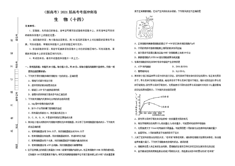 高中生物高考  2021届高考考前冲刺卷 生物（十四） 学生版第1页