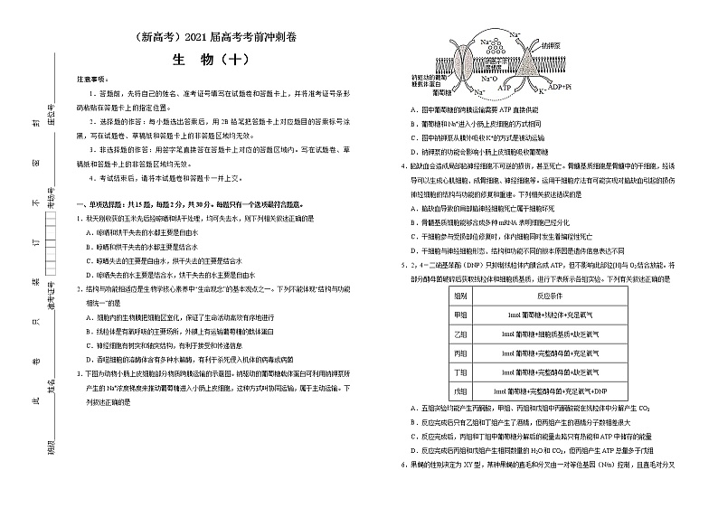 高中生物高考  2021届高考考前冲刺卷 生物（十） 学生版第1页