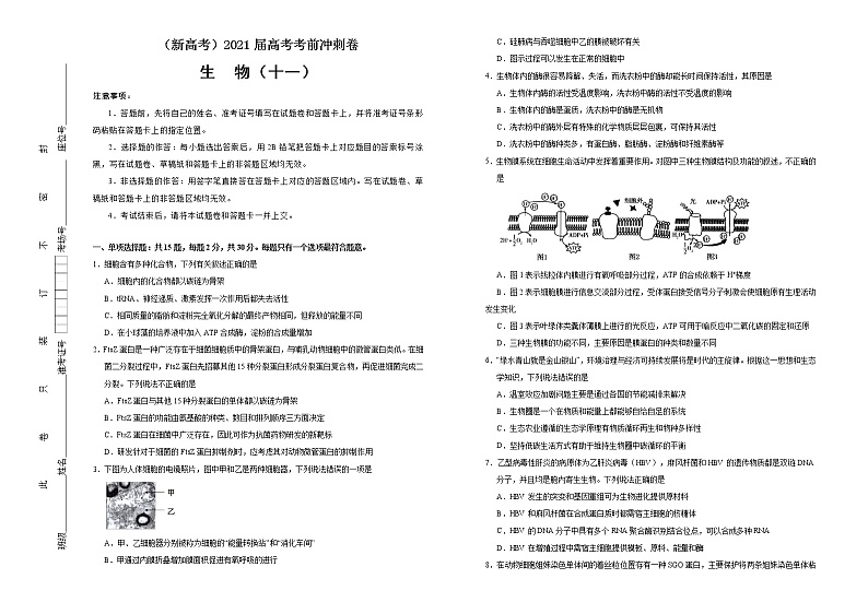 高中生物高考  2021届高考考前冲刺卷 生物（十一） 学生版01