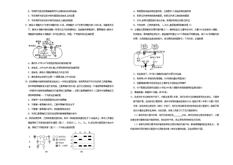 高中生物高考  2021届高考考前冲刺卷 生物（十一） 学生版03