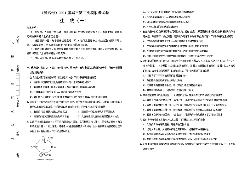 高中生物高考  2021届高三第二次模拟考试卷 生物（一） 学生版第1页