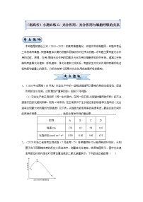 高中生物高考  2021届小题必练6 光合作用、光合作用与细胞呼吸的关系 学生版