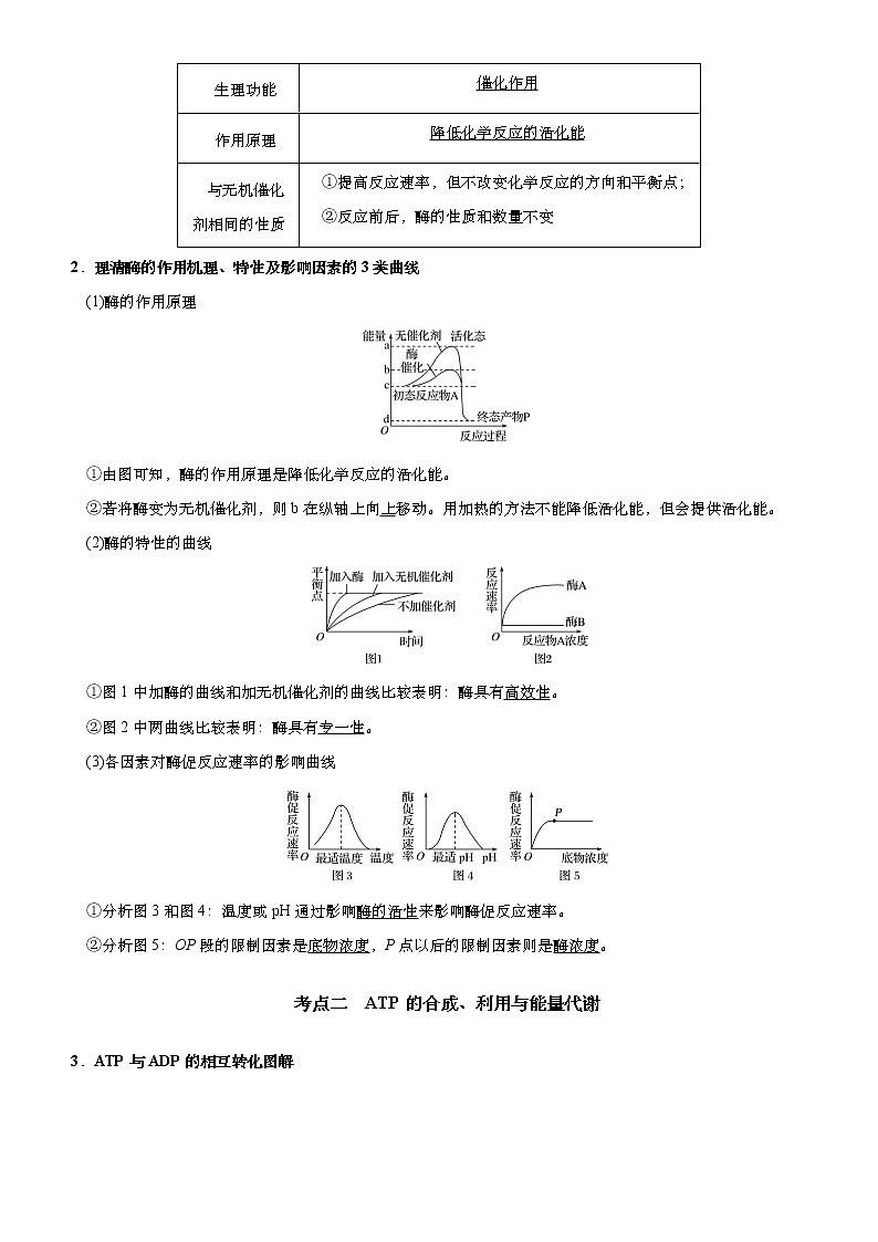 高中生物高考 2021届高考二轮精品专题三 细胞的代谢 学生版第2页