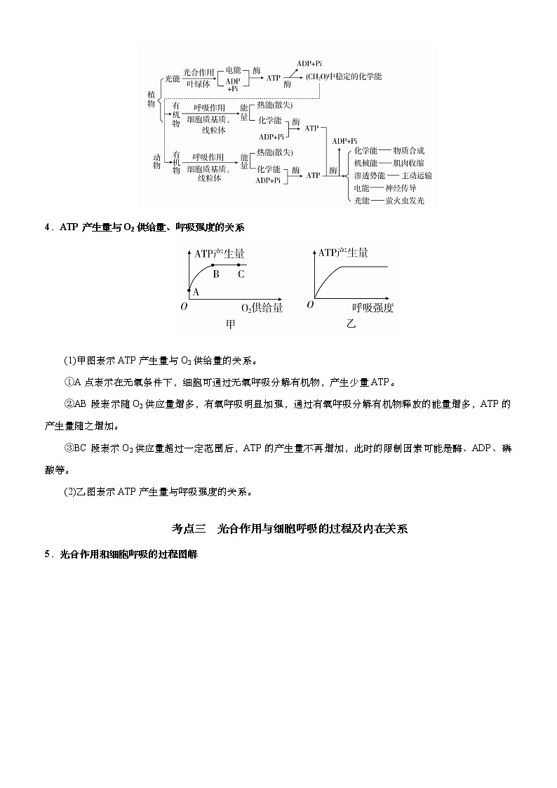 高中生物高考 2021届高考二轮精品专题三 细胞的代谢 学生版第3页