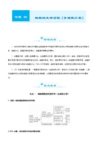 高中生物高考 2021届高考二轮精品专题四 细胞的生命历程（含减数分裂） 教师版