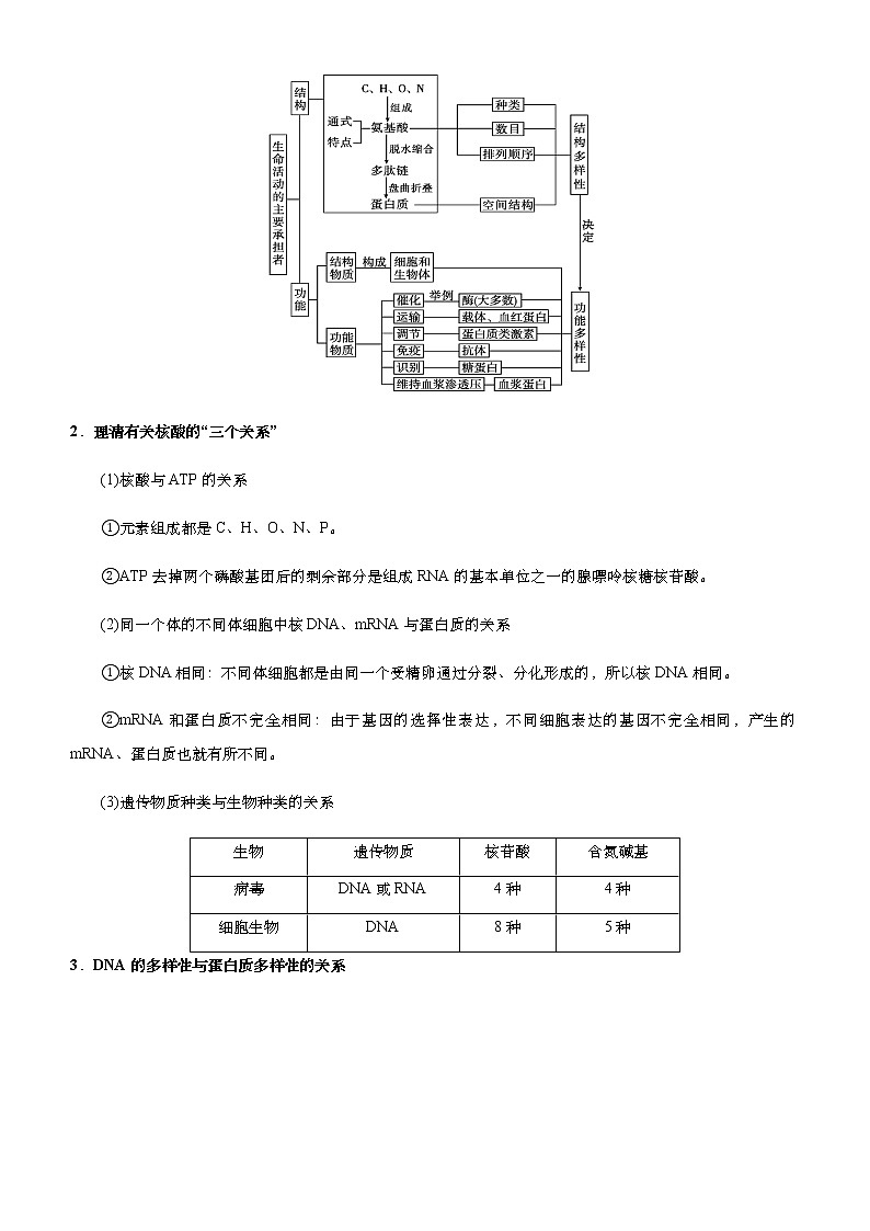 高中生物高考 2021届高考二轮精品专题一 细胞的分子组成 学生版第2页