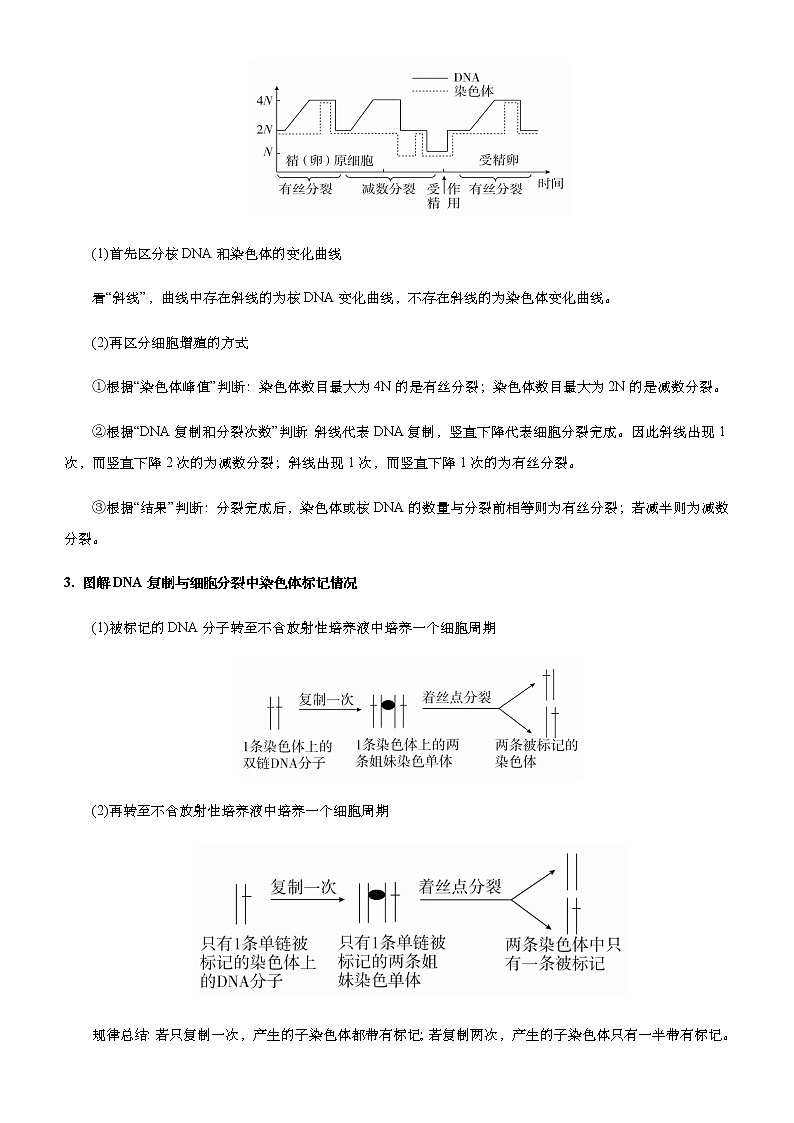 高中生物高考 2021届高考二轮精品专题四 细胞的生命历程（含减数分裂） 学生版第2页