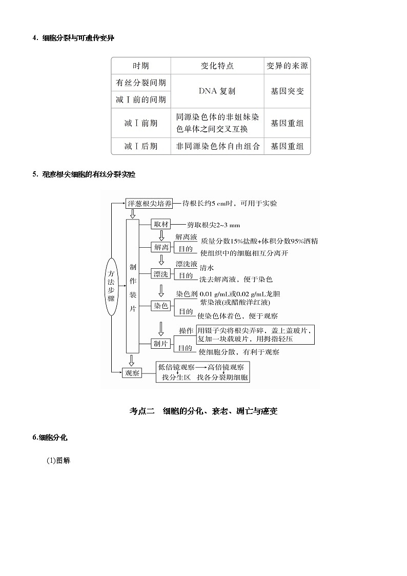 高中生物高考 2021届高考二轮精品专题四 细胞的生命历程（含减数分裂） 学生版第3页