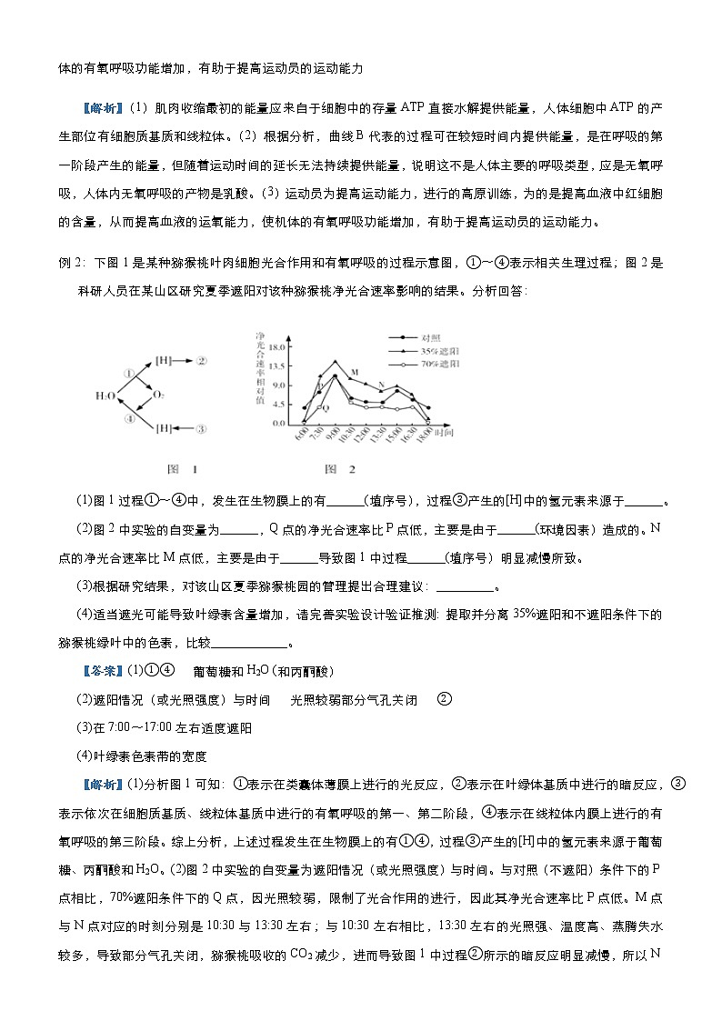 高中生物高考 2021届高三大题优练2 细胞代谢及其应用 教师版02