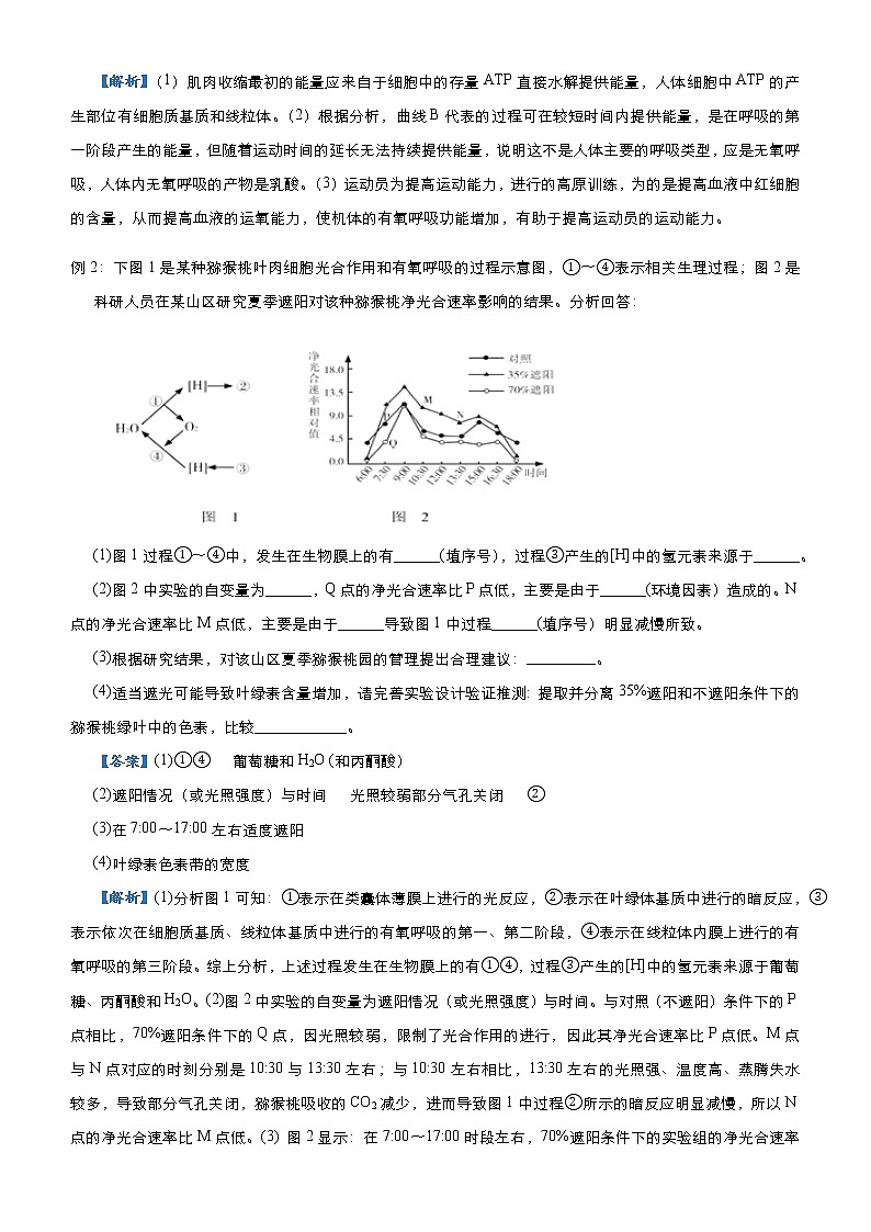 高中生物高考 2021届高三大题优练2 细胞代谢及其应用 学生版第2页