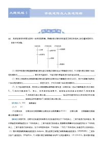 高中生物高考 2021届高三大题优练4 伴性遗传及人类遗传病 学生版